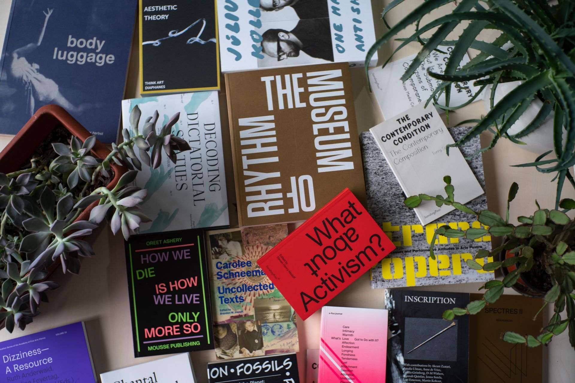 foto din Mediateca CNDB